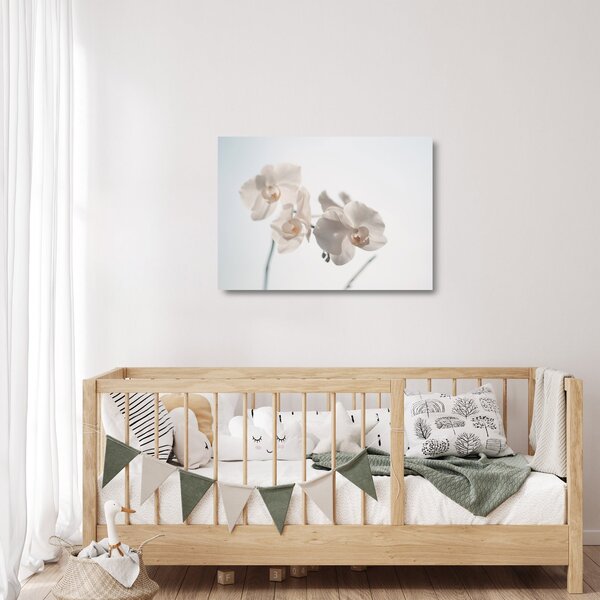 Staklena slika bijele orhideje (70x50 cm)