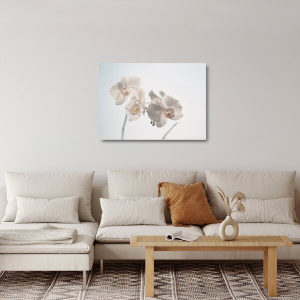 Staklena slika bijele orhideje (70x50 cm)