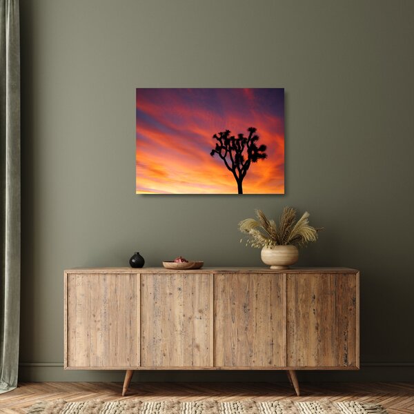 Staklena slika zalaska sunca nad siluetom stabla (70x50 cm)