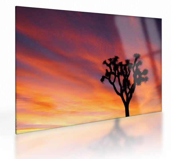 Staklena slika zalaska sunca nad siluetom stabla (70x50 cm)