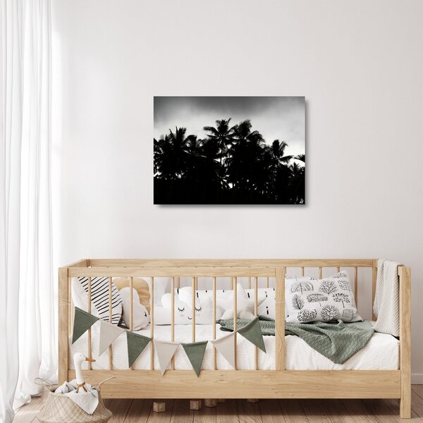 Crno-bijela staklena slika - palme (70x50 cm)