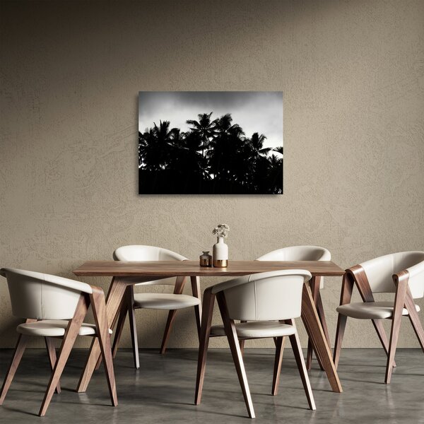 Crno-bijela staklena slika - palme (70x50 cm)