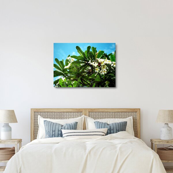 Staklena slika - Plumerija (70x50 cm)