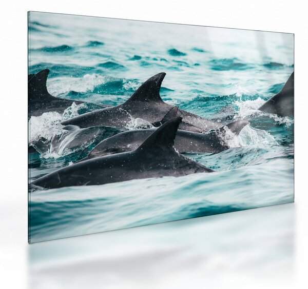 Staklena slika - Dupini u oceanu (70x50 cm)