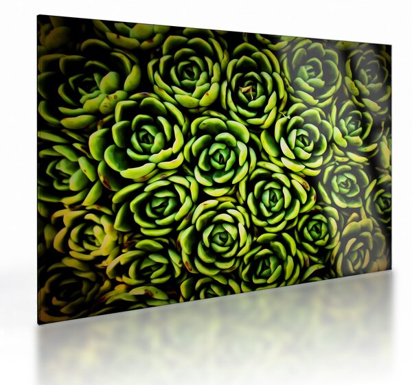 Staklena slika čuvarkuće (70x50 cm)