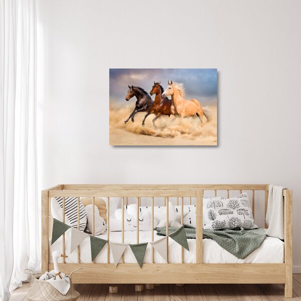 Staklena slika - Divlji konji (70x50 cm)