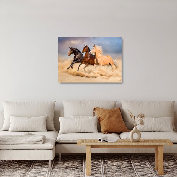 Staklena slika - Divlji konji (70x50 cm)