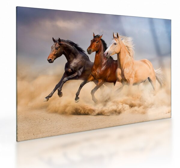 Staklena slika - Divlji konji (70x50 cm)