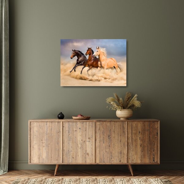 Staklena slika - Divlji konji (70x50 cm)