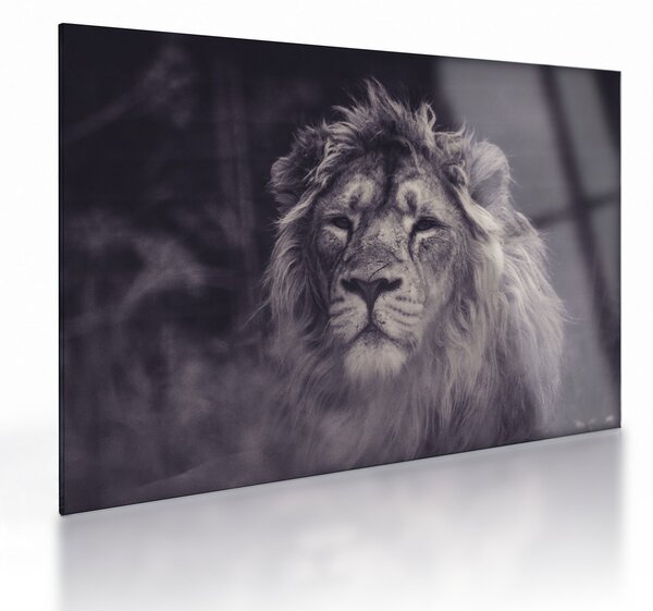 Staklena slika lava (70x50 cm)