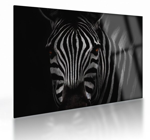 Staklena slika zebre (70x50 cm)
