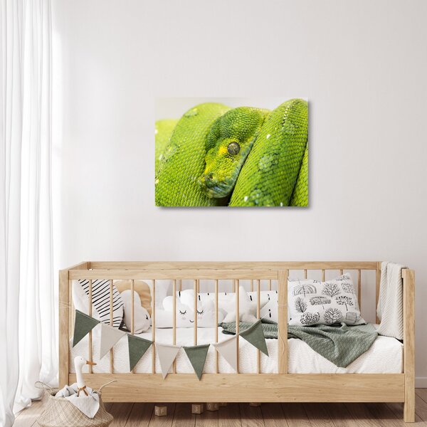 Staklena slika zmije (70x50 cm)