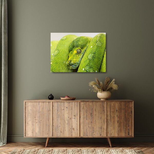 Staklena slika zmije (70x50 cm)