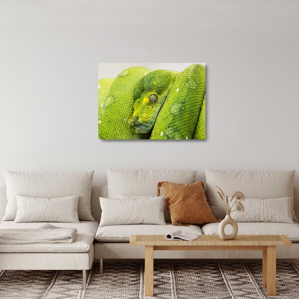 Staklena slika zmije (70x50 cm)