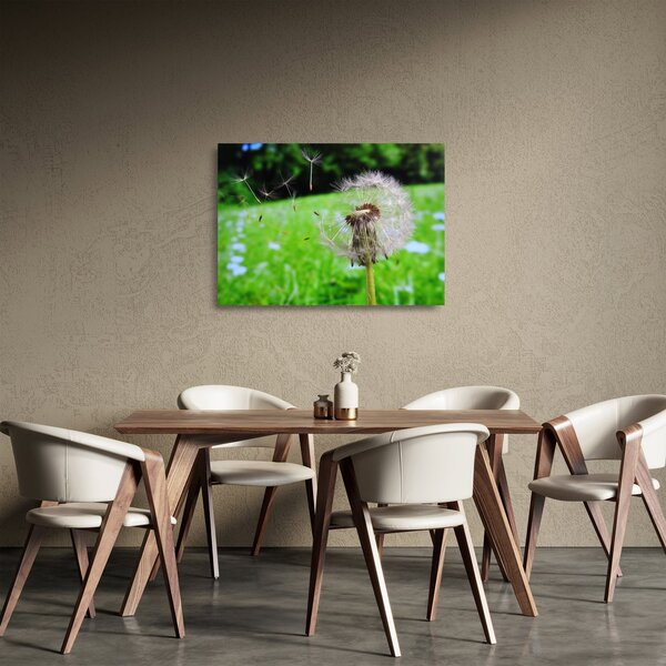 Staklena slika maslačka (70x50 cm)