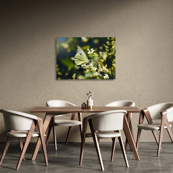 Staklena slika leptira (70x50 cm)