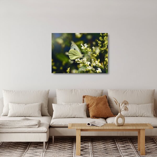 Staklena slika leptira (70x50 cm)