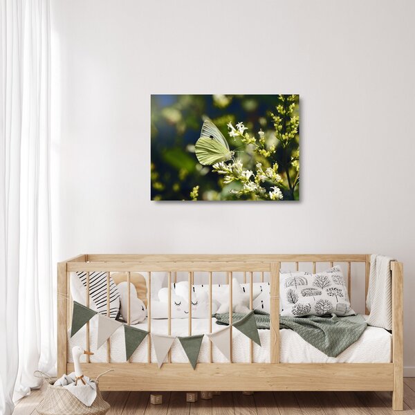 Staklena slika leptira (70x50 cm)