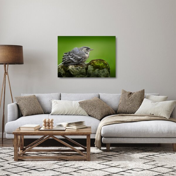 Staklena slika - Ptica (70x50 cm)