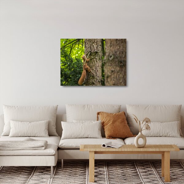Staklena slika - Vjeverica (70x50 cm)