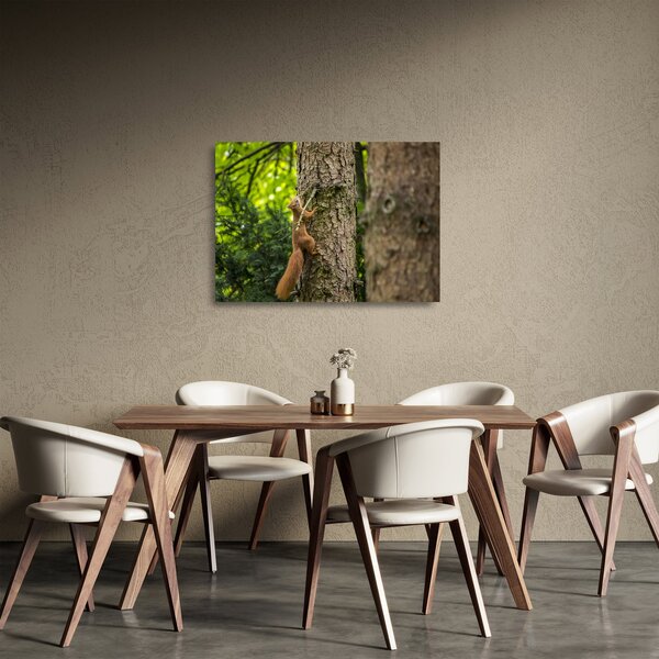 Staklena slika - Vjeverica (70x50 cm)
