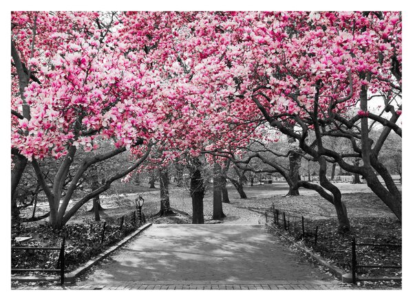 Staklena slika drveća magnolije (70x50 cm)