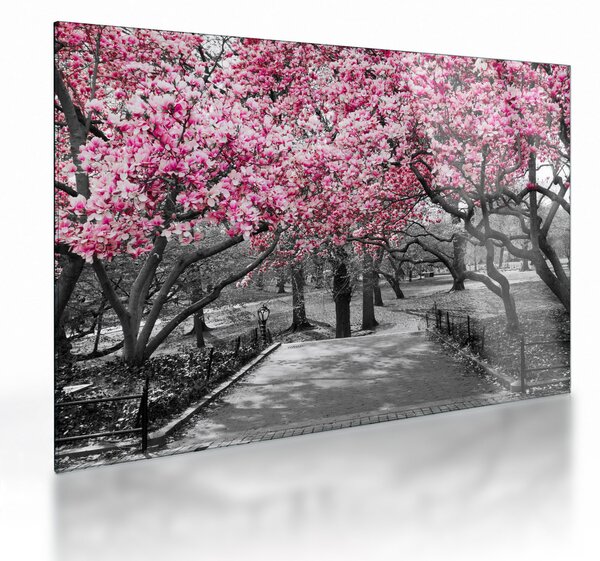 Staklena slika drveća magnolije (70x50 cm)