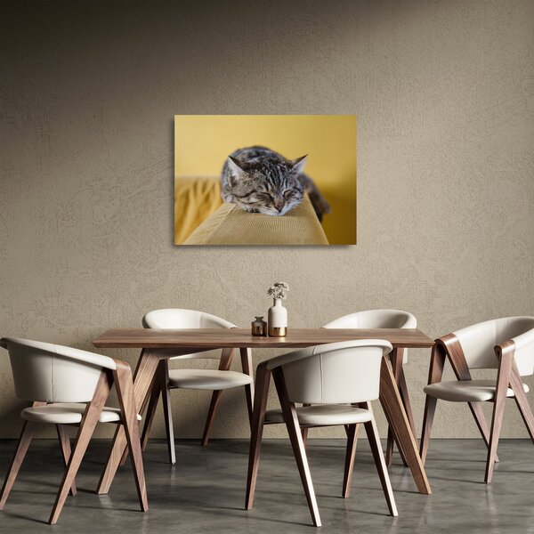Staklena slika mačke na kauču (70x50 cm)