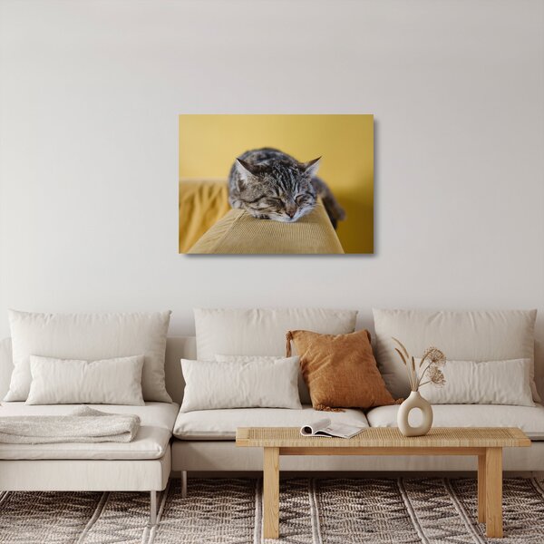 Staklena slika mačke na kauču (70x50 cm)