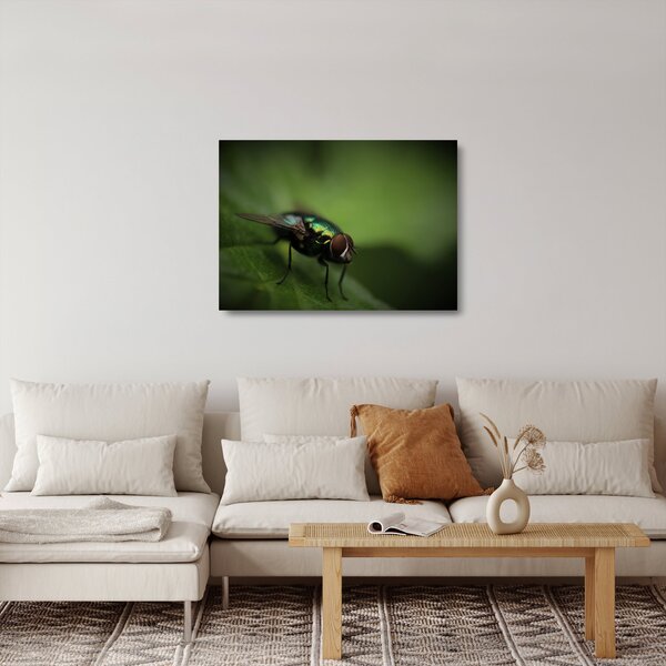 Staklena slika - Muha (70x50 cm)