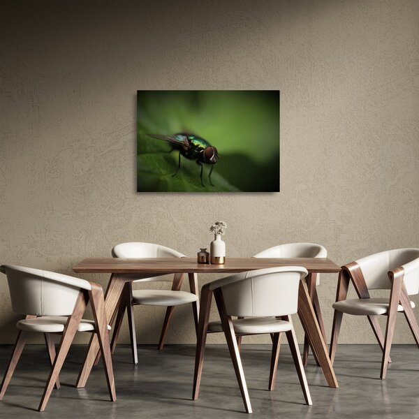 Staklena slika - Muha (70x50 cm)