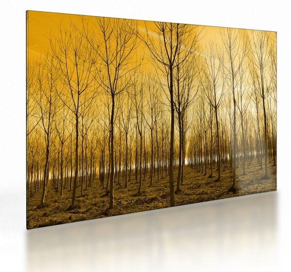 Staklena slika šume pri zalasku sunca (70x50 cm)