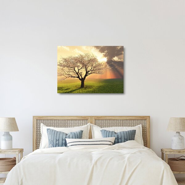 Staklena slika stabla na livadi (70x50 cm)