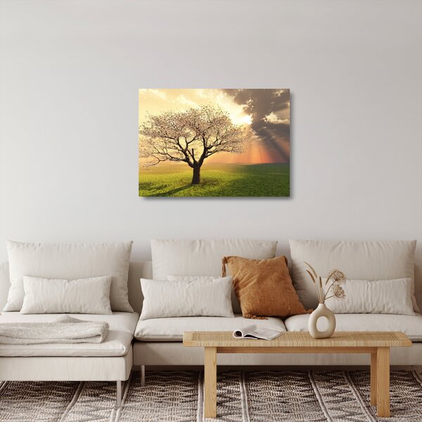 Staklena slika stabla na livadi (70x50 cm)