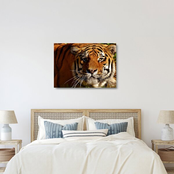 Staklena slika tigra (70x50 cm)