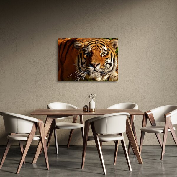 Staklena slika tigra (70x50 cm)