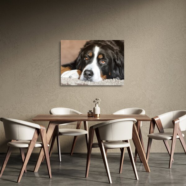 Staklena slika psa (70x50 cm)