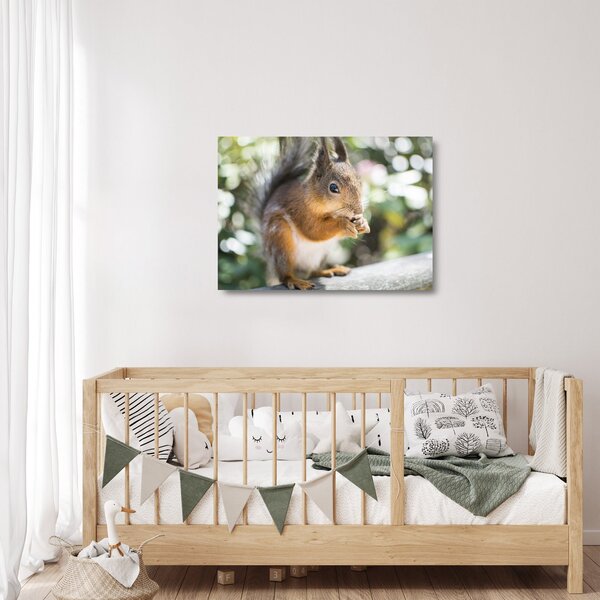 Staklena slika vjeverice (70x50 cm)