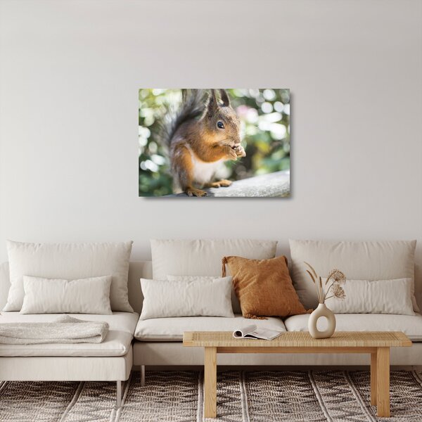 Staklena slika vjeverice (70x50 cm)