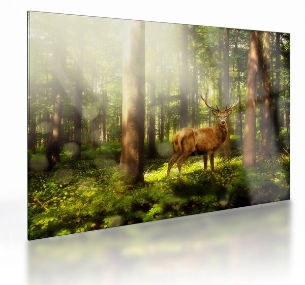Staklena slika jelena u šumi (70x50 cm)