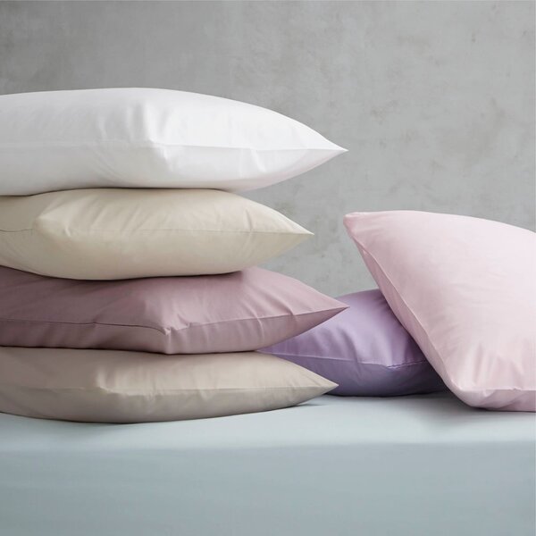 Krem plahta od perkala 180x260 cm Easy Iron Percale – Catherine Lansfield