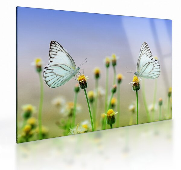 Staklena slika leptira na cvijetu (70x50 cm)
