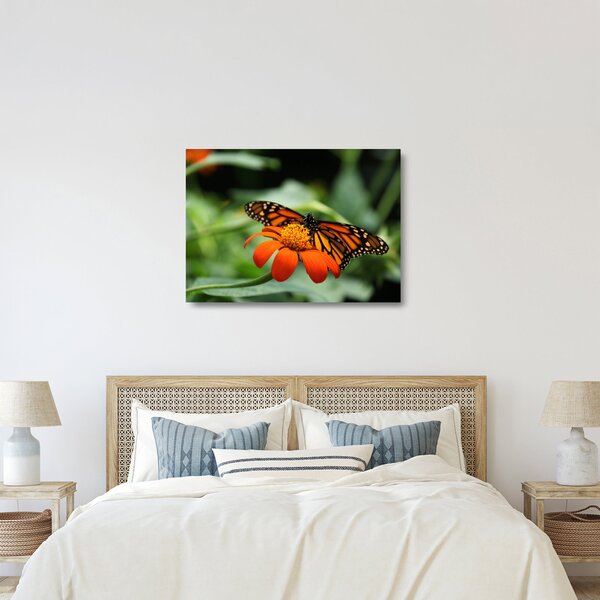 Staklena slika leptira na cvijetu (70x50 cm)