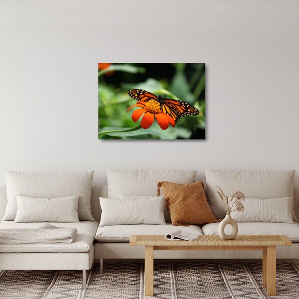 Staklena slika leptira na cvijetu (70x50 cm)