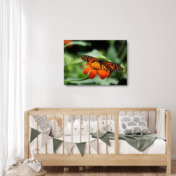 Staklena slika leptira na cvijetu (70x50 cm)