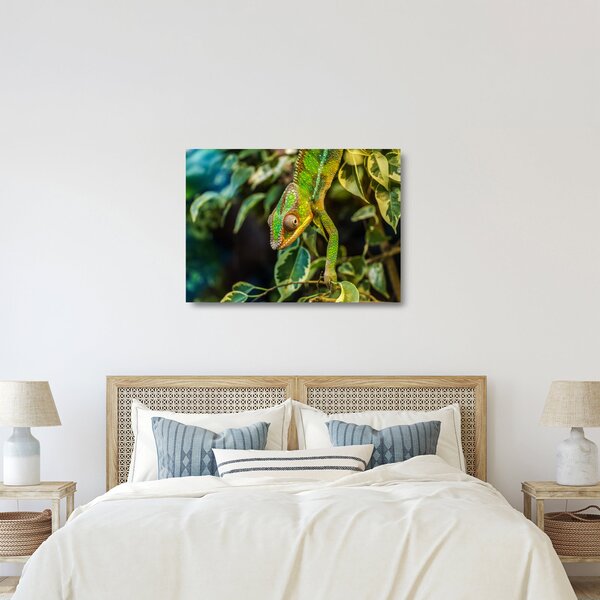 Staklena slika kameleona (70x50 cm)
