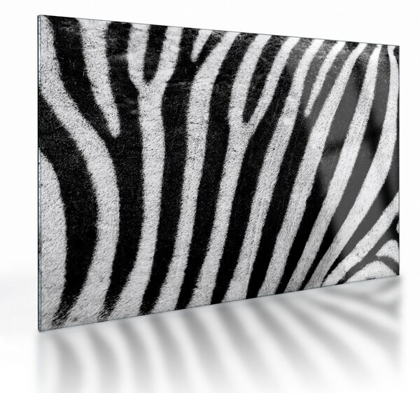 Staklena slika kože zebre (70x50 cm)