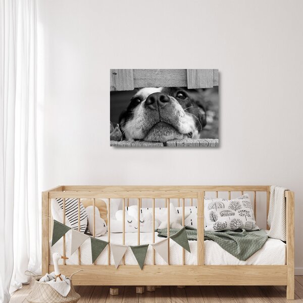 Staklena slika psa (70x50 cm)