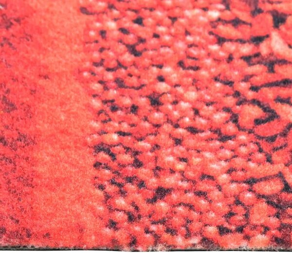 Kuhinjski tepih s uzorkom začina perivi 60 x 300 cm - Začin 60 x 300 cm 1 Začin