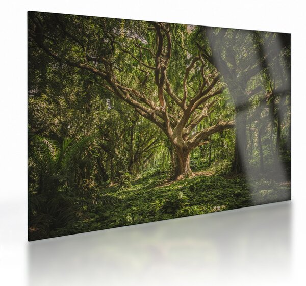 Staklena slika stabla (70x50 cm)